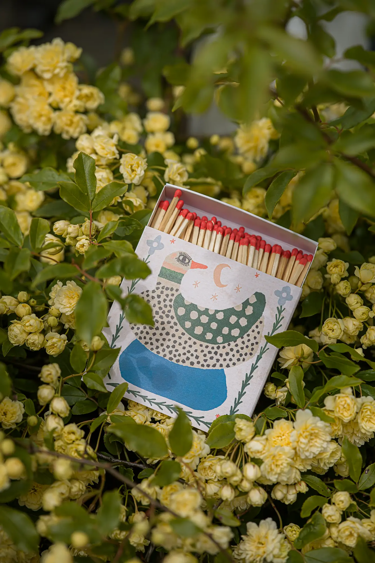 HOME DECOR Spotted Duck - Safety Matches Archivist Gallery