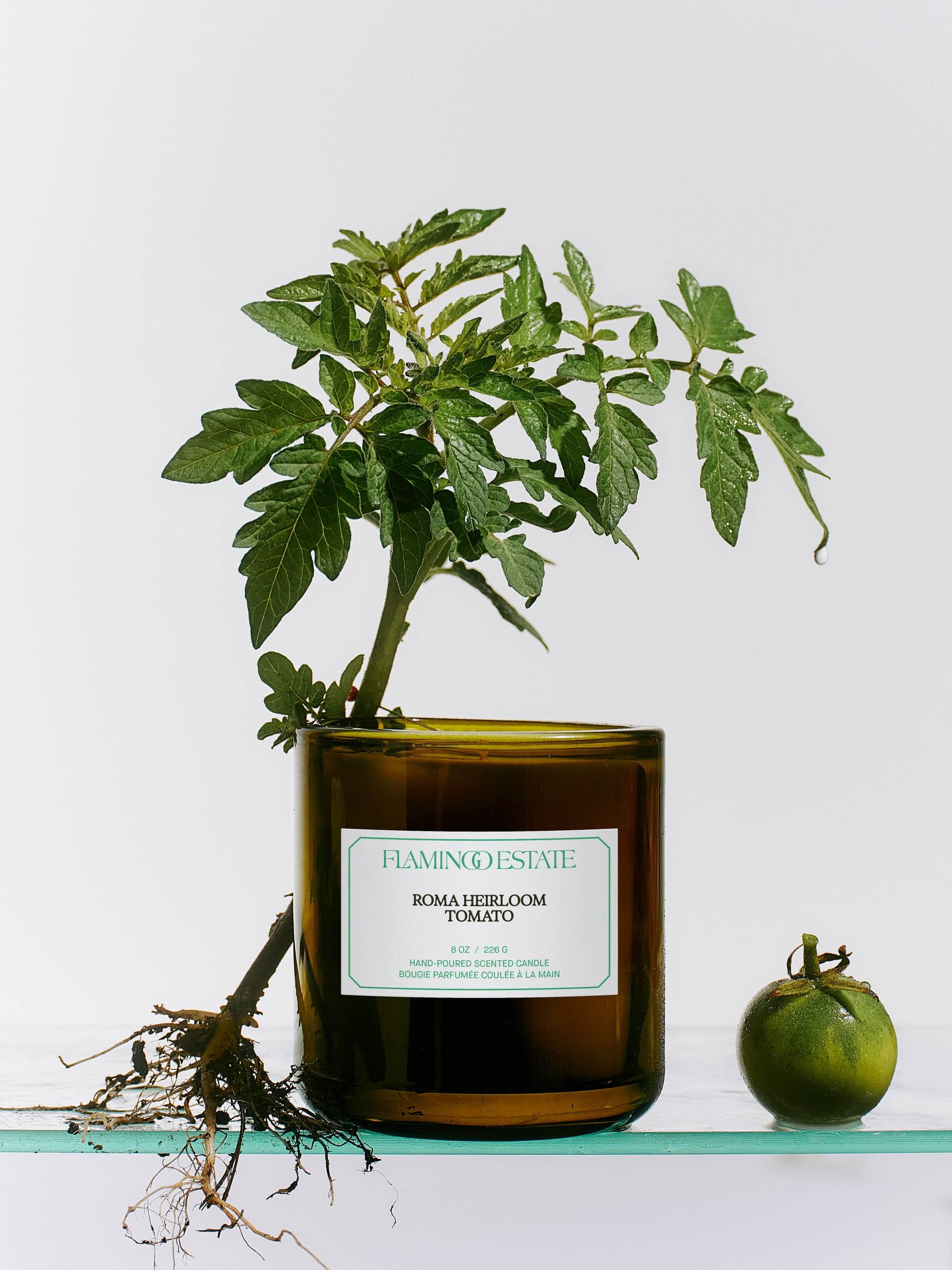 CANDLES/HOME FRAGRANCE Roma Heirloom Tomato Candle Flamingo Estate