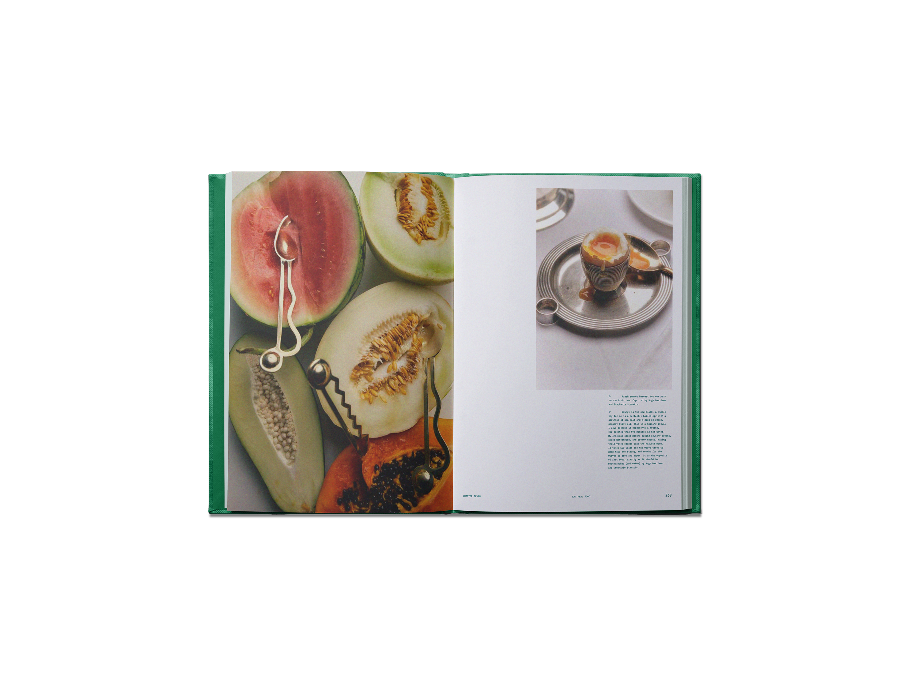 BOOKS/STATIONERY The Guide to Becoming Alive Book Flamingo Estate