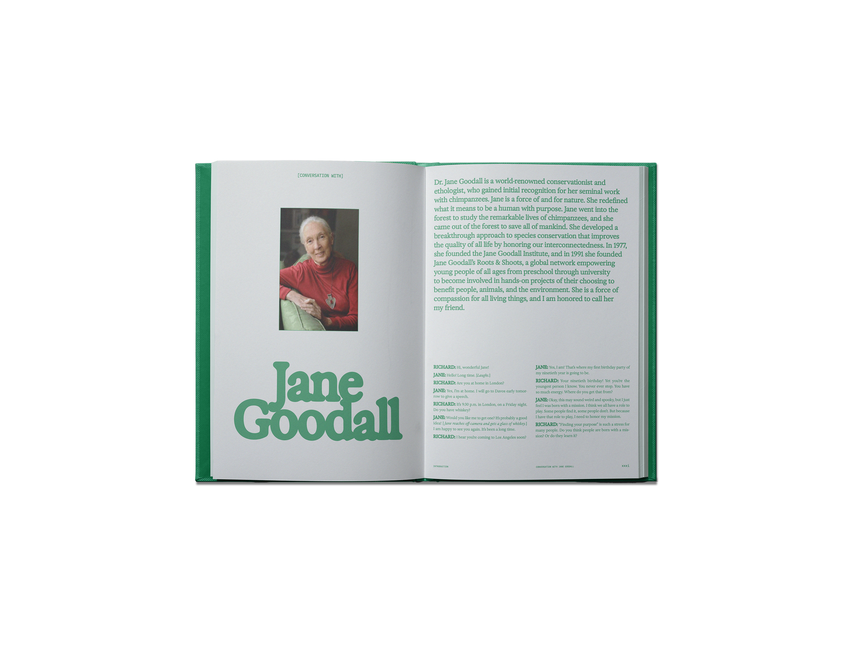 BOOKS/STATIONERY The Guide to Becoming Alive Book Flamingo Estate