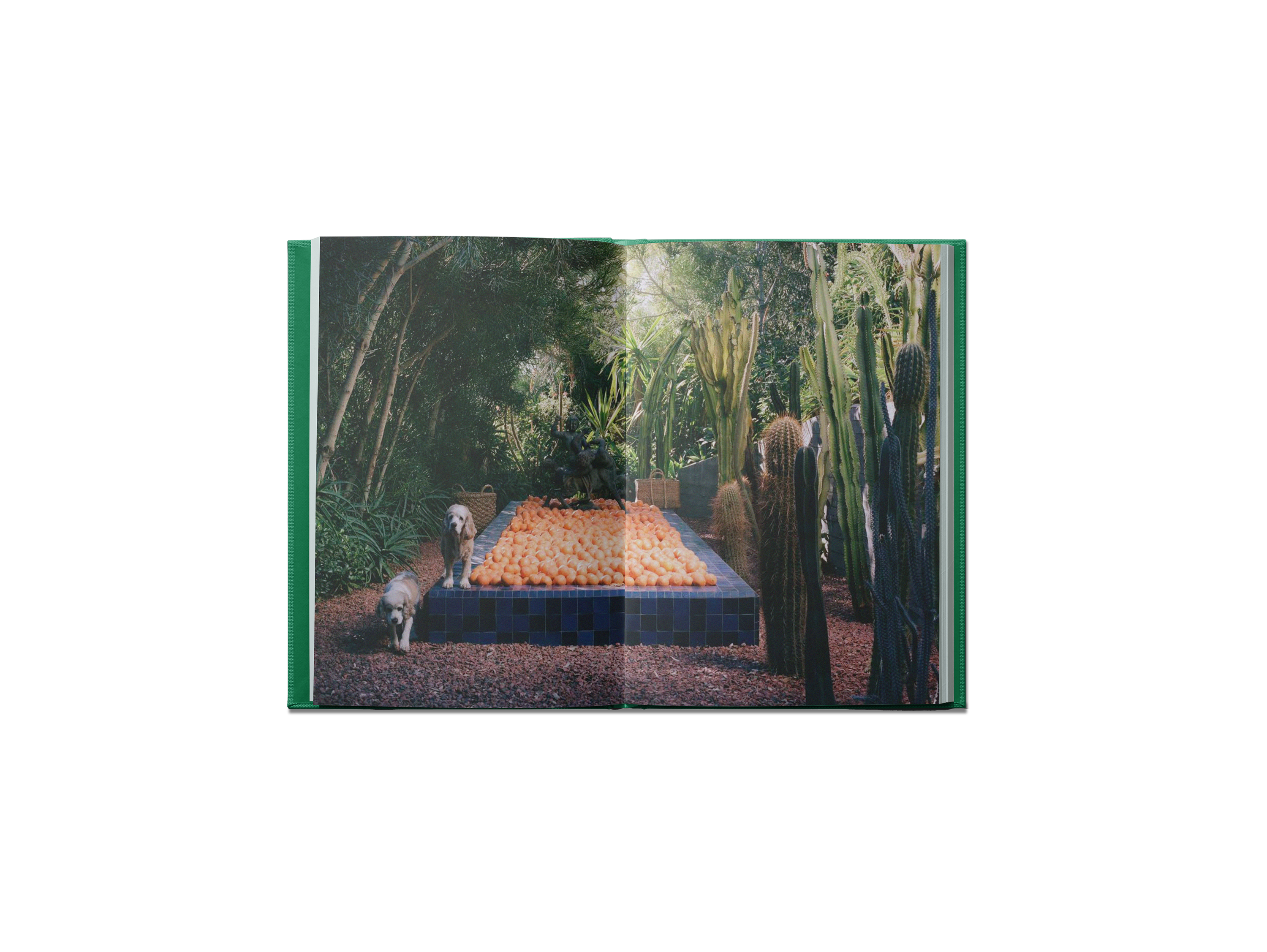 BOOKS/STATIONERY The Guide to Becoming Alive Book Flamingo Estate