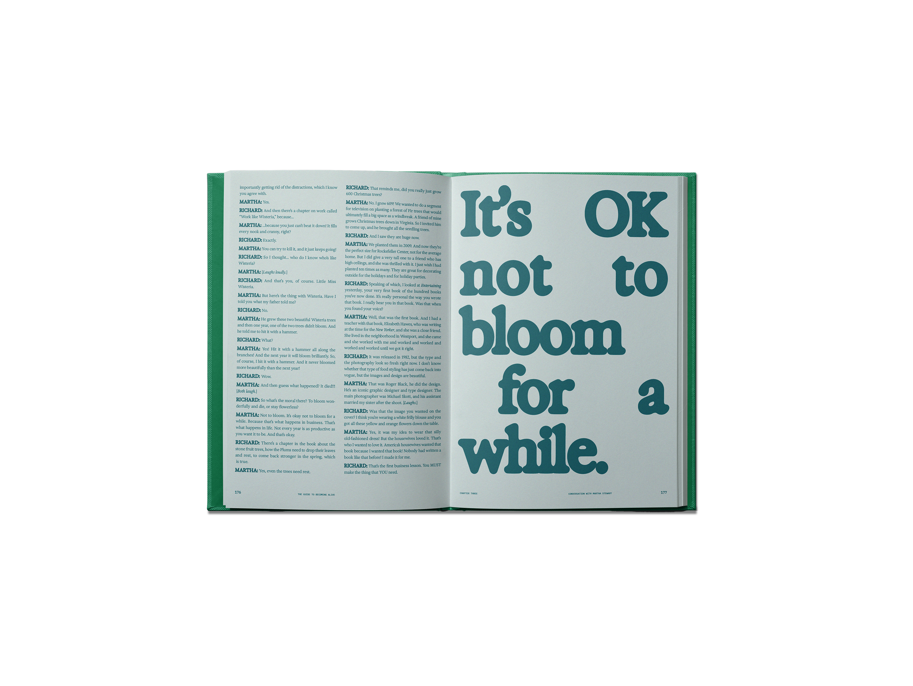 BOOKS/STATIONERY The Guide to Becoming Alive Book Flamingo Estate