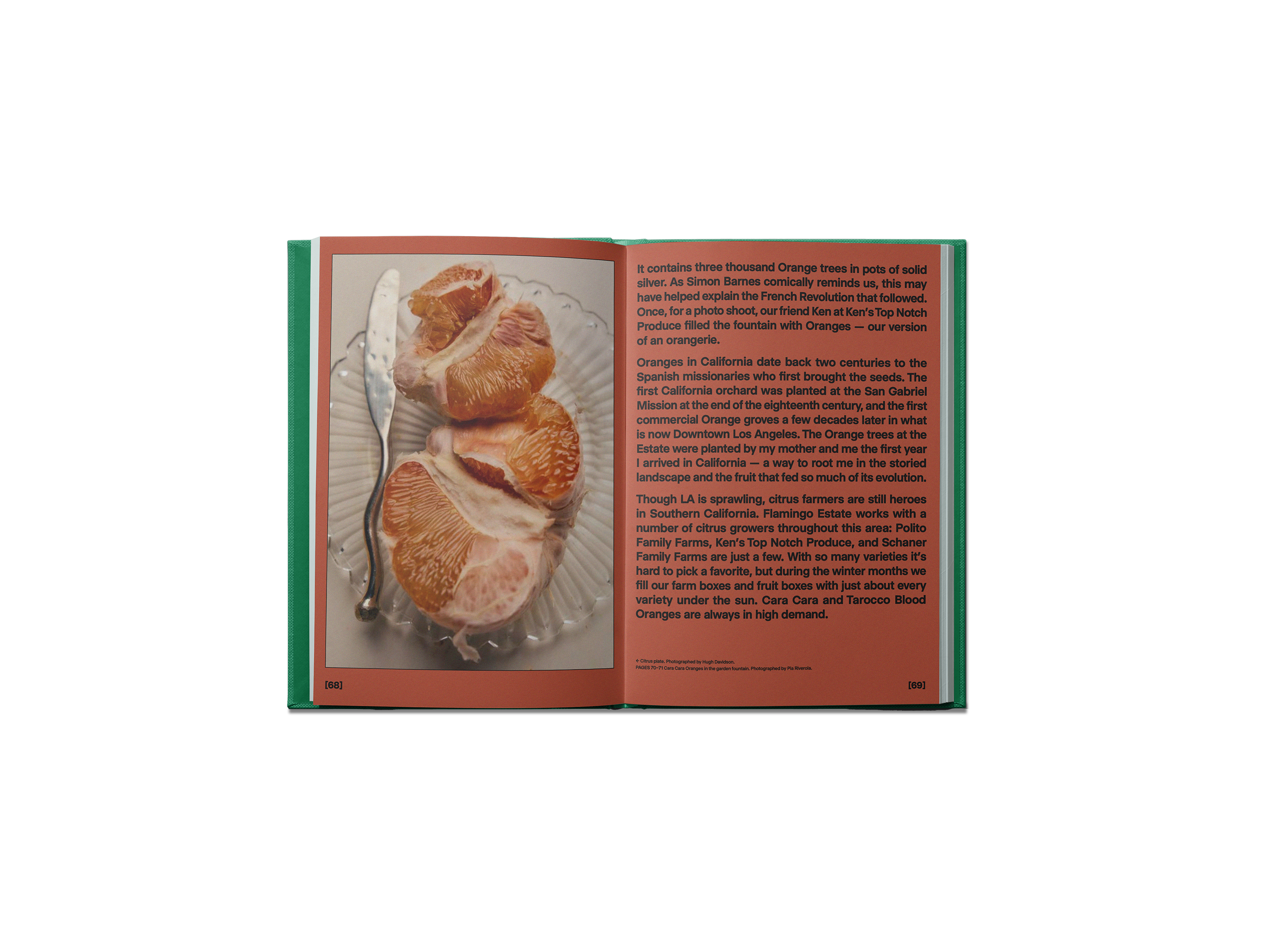 BOOKS/STATIONERY The Guide to Becoming Alive Book Flamingo Estate