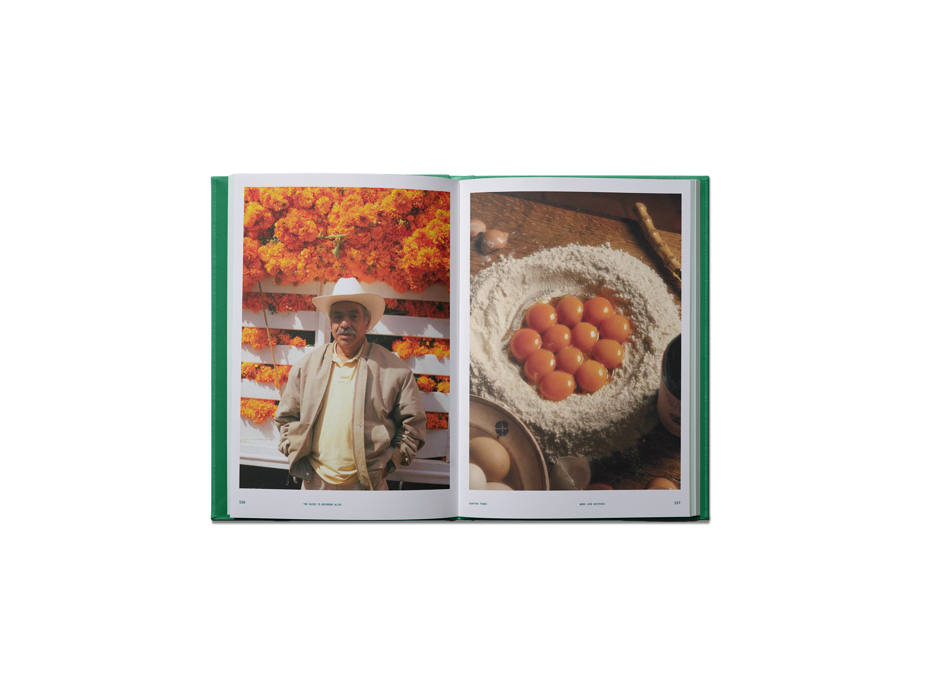 BOOKS/STATIONERY The Guide to Becoming Alive Book Flamingo Estate