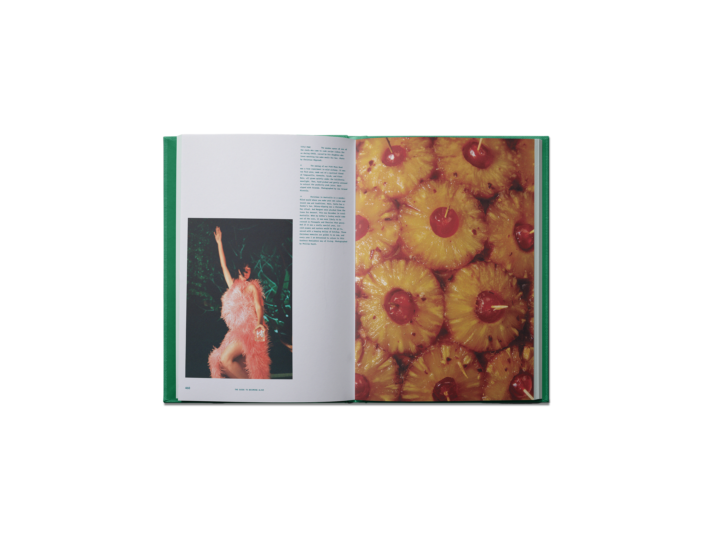 BOOKS/STATIONERY The Guide to Becoming Alive Book Flamingo Estate