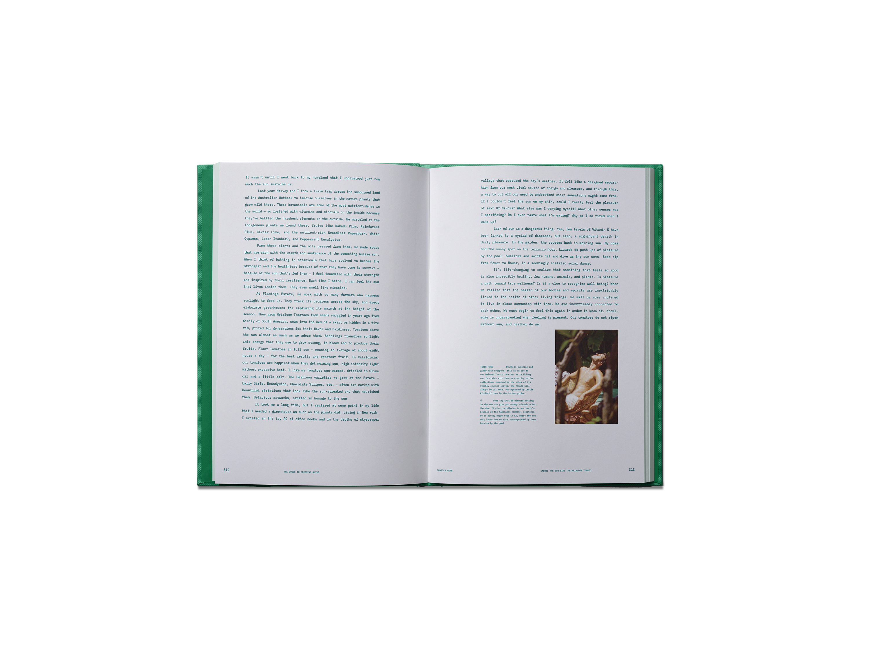 BOOKS/STATIONERY The Guide to Becoming Alive Book Flamingo Estate