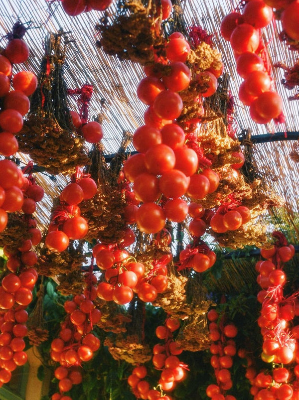 CANDLES/HOME FRAGRANCE Flamingo Estate Roma Heirloom Tomato Candle Flamingo Estate