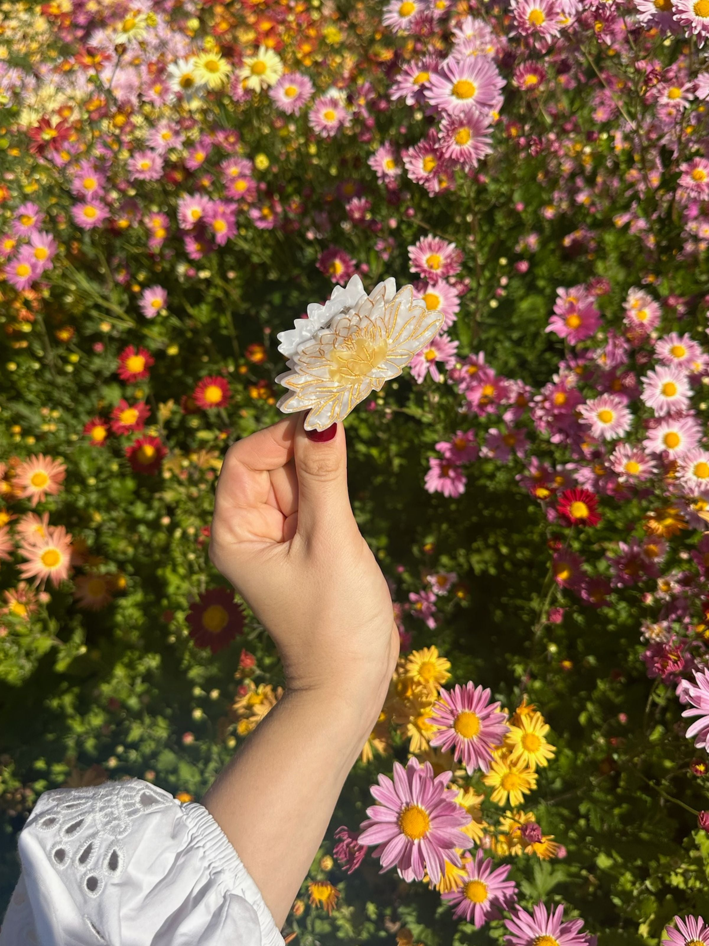 ACCESSORIES Waterlily Claw Clip in White Solar Eclipse