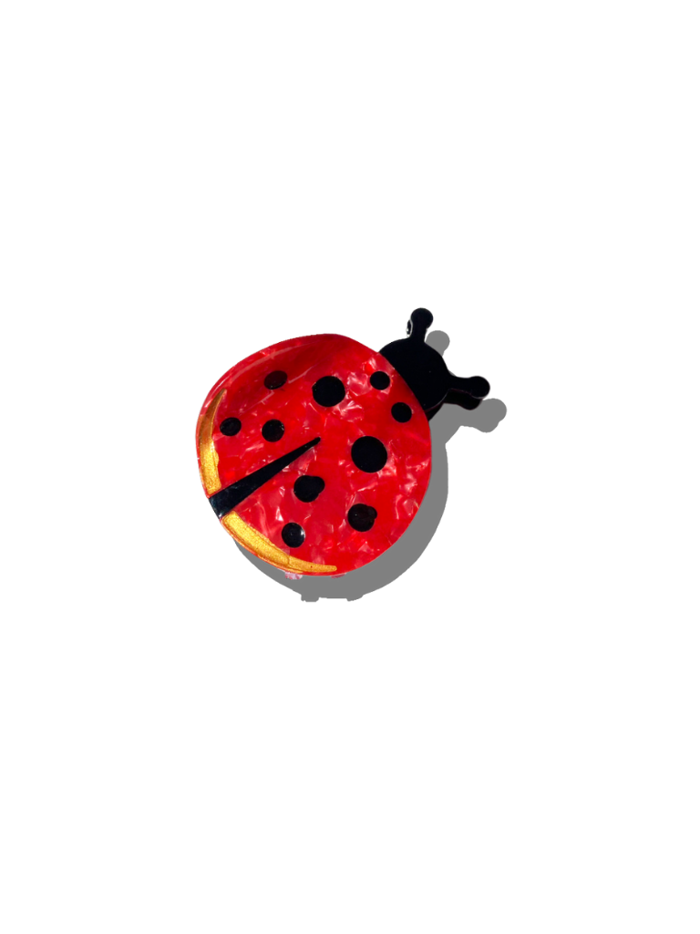 ACCESSORIES Ladybug Claw Clip Solar Eclipse