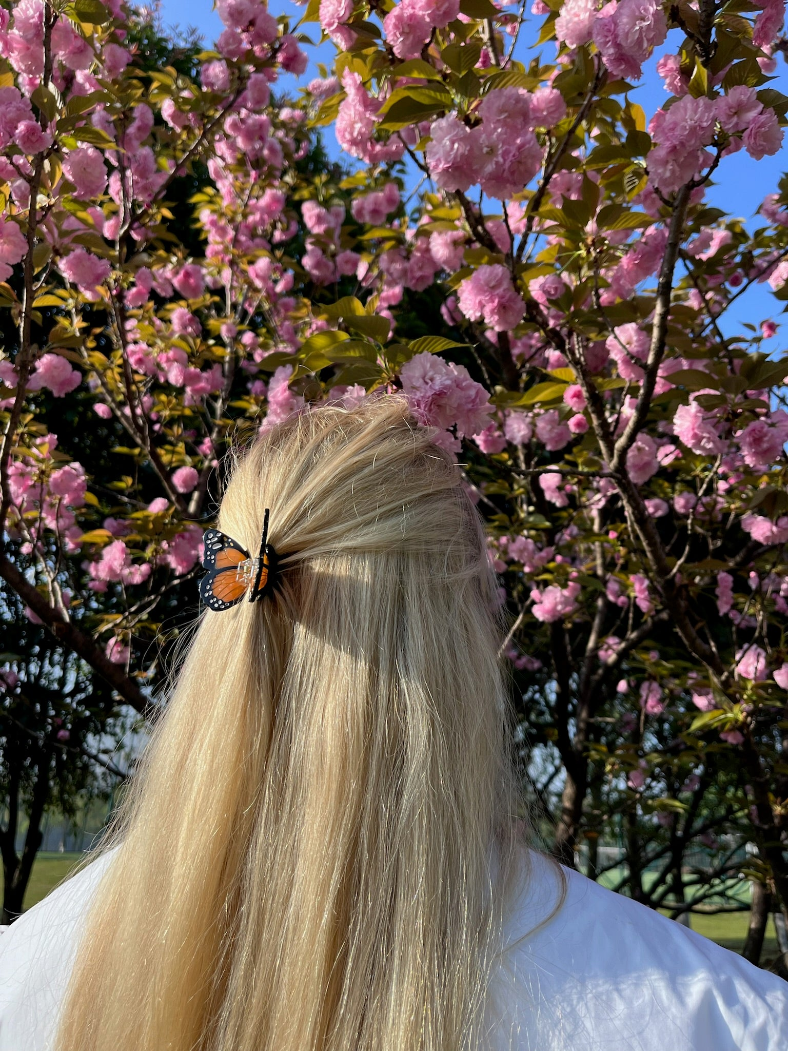 ACCESSORIES Mini Monarch Claw Clip in Orange Solar Eclipse