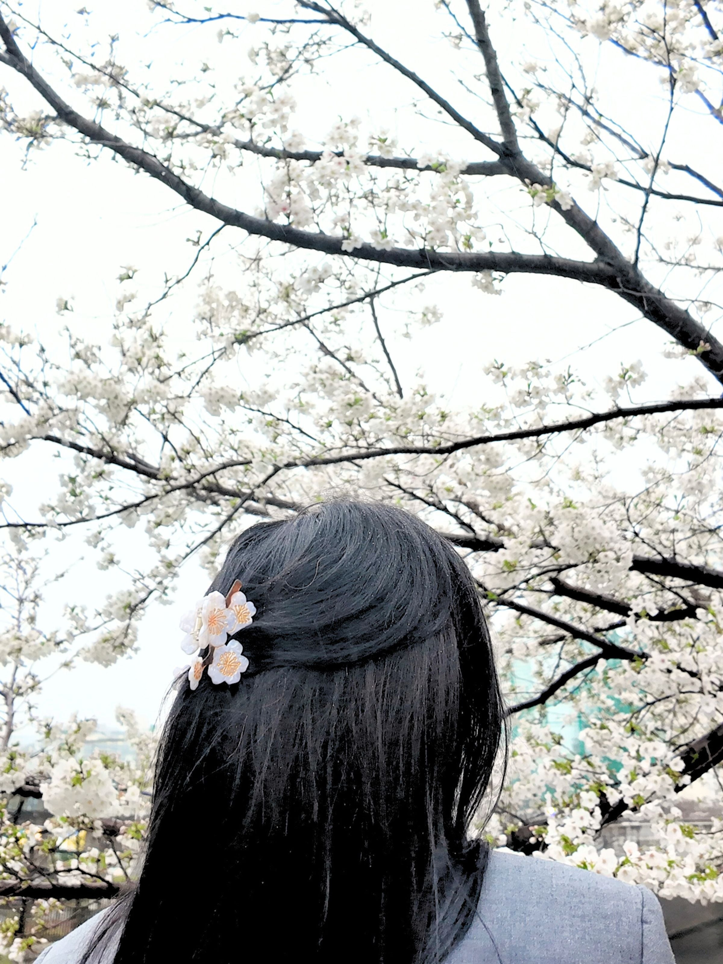 ACCESSORIES Cherry Blossoms Claw Clip in Snow Blossom Solar Eclipse