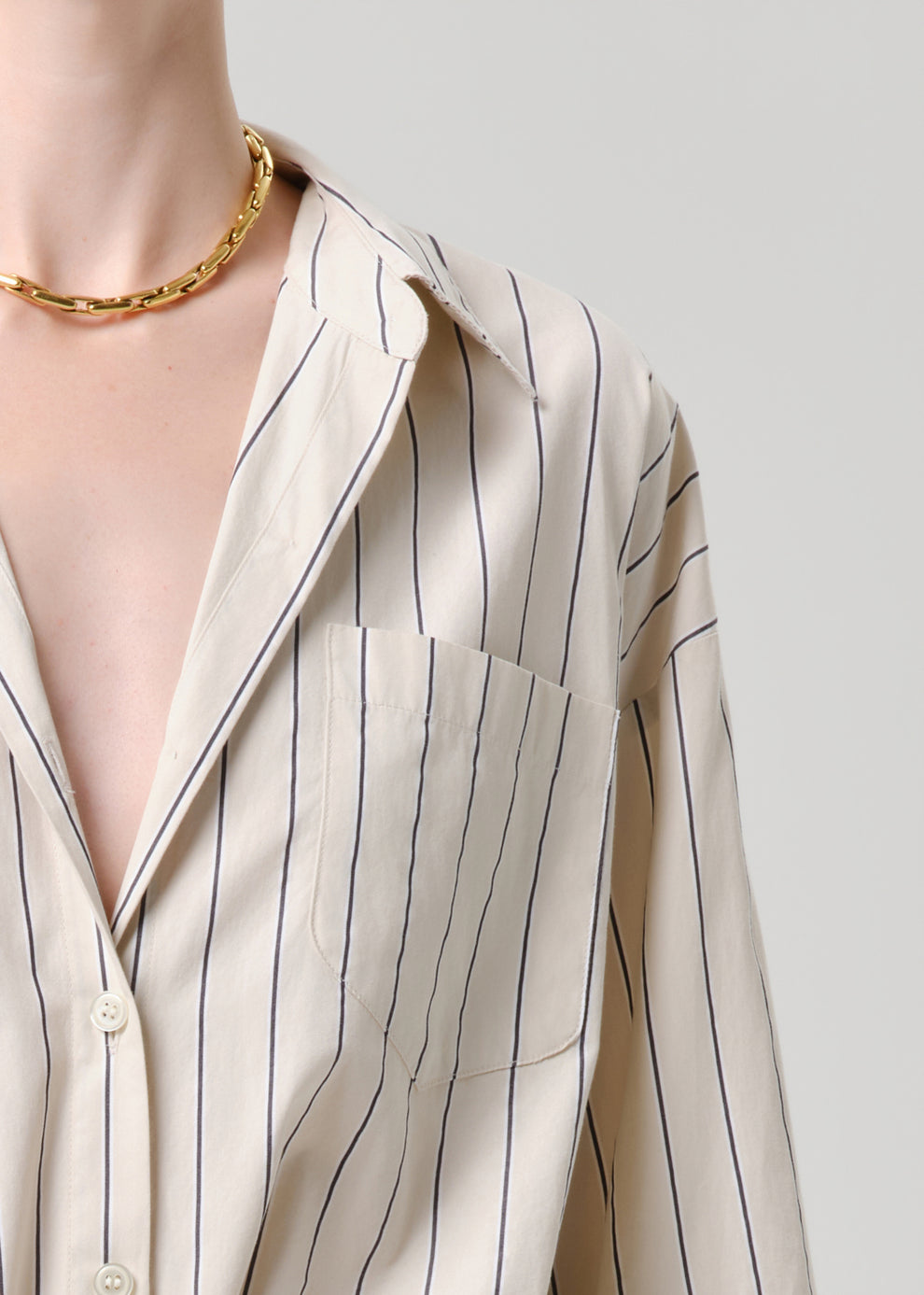 DENIM Petit Ami Shirt in Ramble Stripe Citizens of Humanity