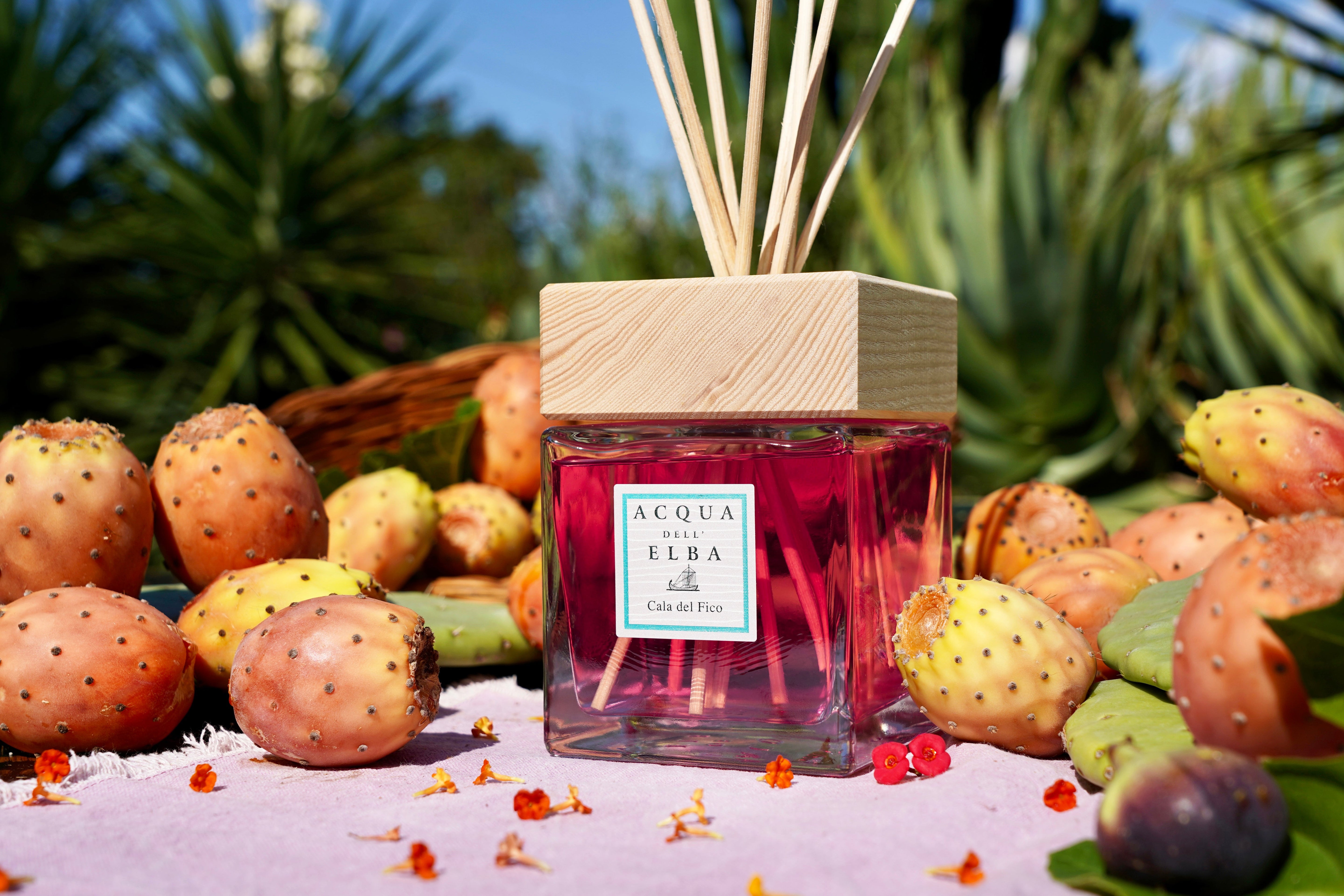 CANDLES/HOME FRAGRANCE Reed Diffuser in Cala Del Fico Acqua Dell Elba