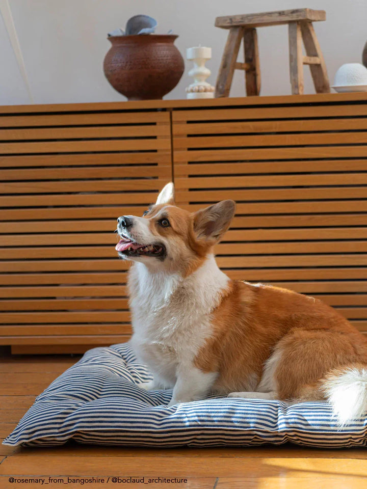 HOME DECOR Large Pet Bed in Chocolate and Off White Stripe Tensira