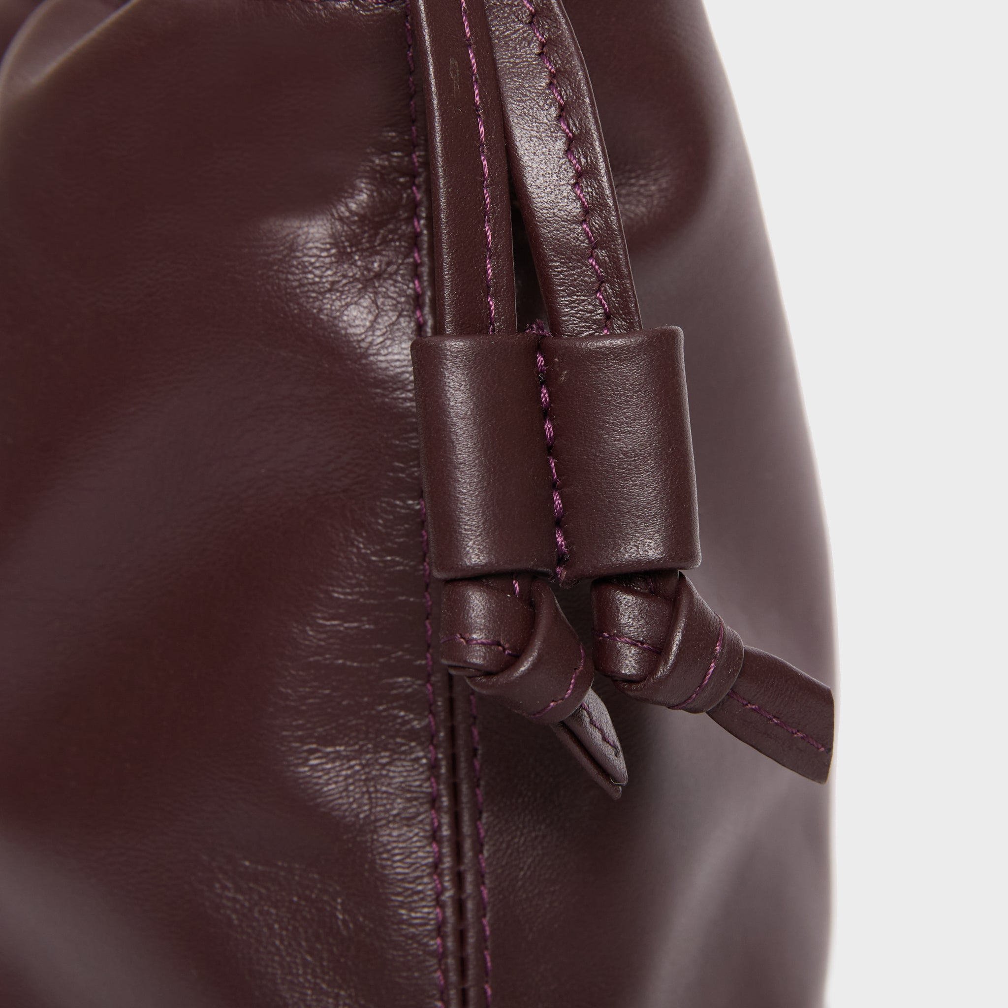 HANDBAGS Mini Asisi Tote in Brordeaux Lemiz