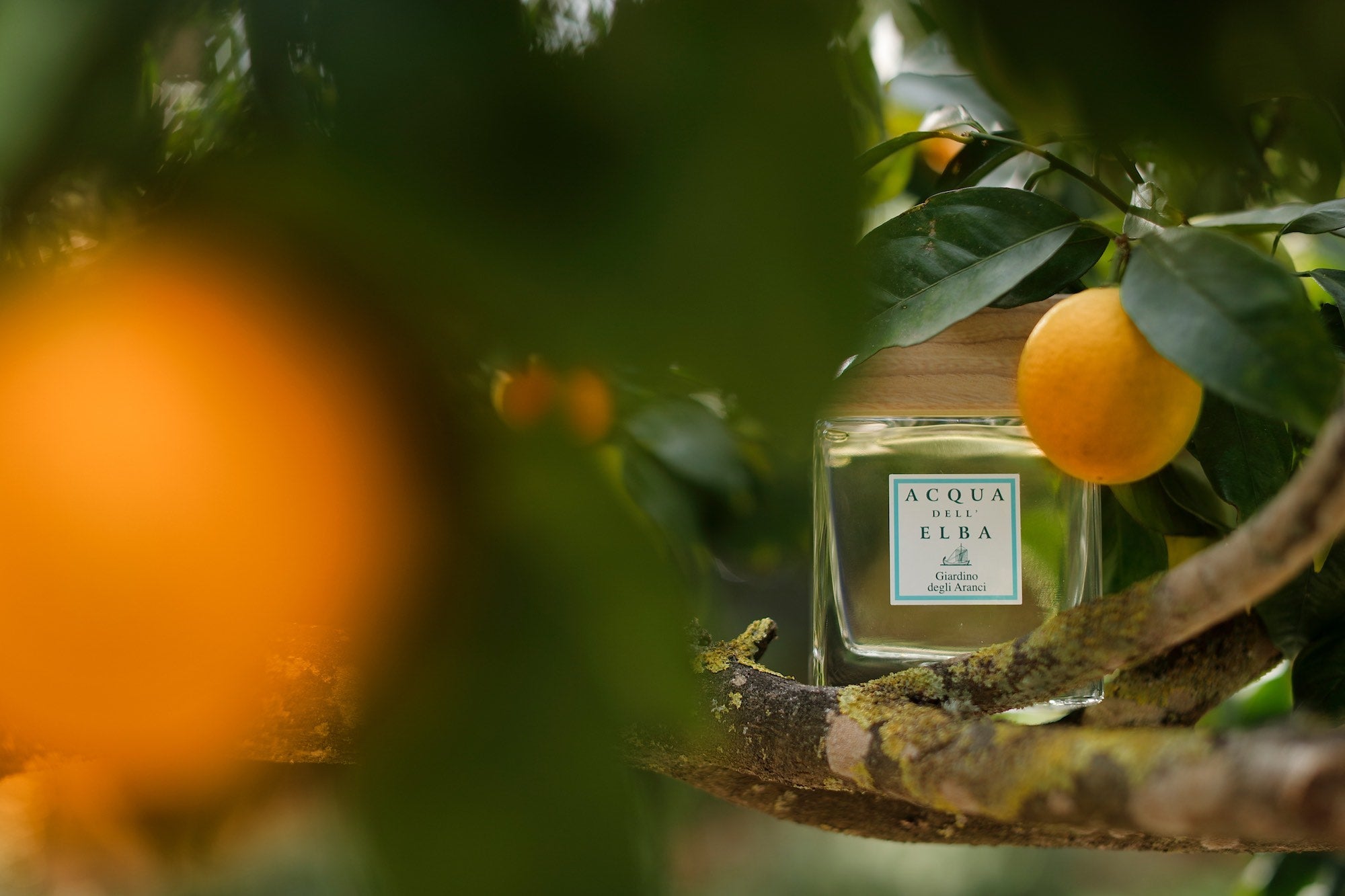 CANDLES/HOME FRAGRANCE Reed Diffuser in Giardino Degli Aranci Acqua Dell Elba