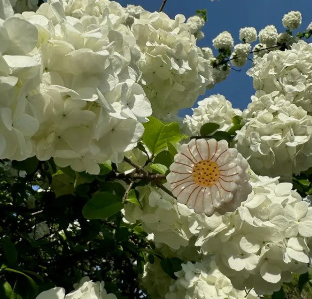 ACCESSORIES MINI DAISY CLAW CLIP Solar Eclipse