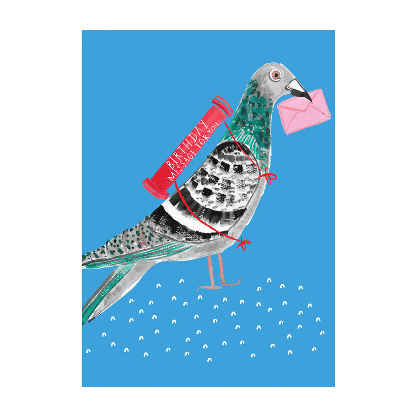 BOOKS/STATIONERY PIGEON WITH A MESSAGE GREETING CARD Mr. Boddington