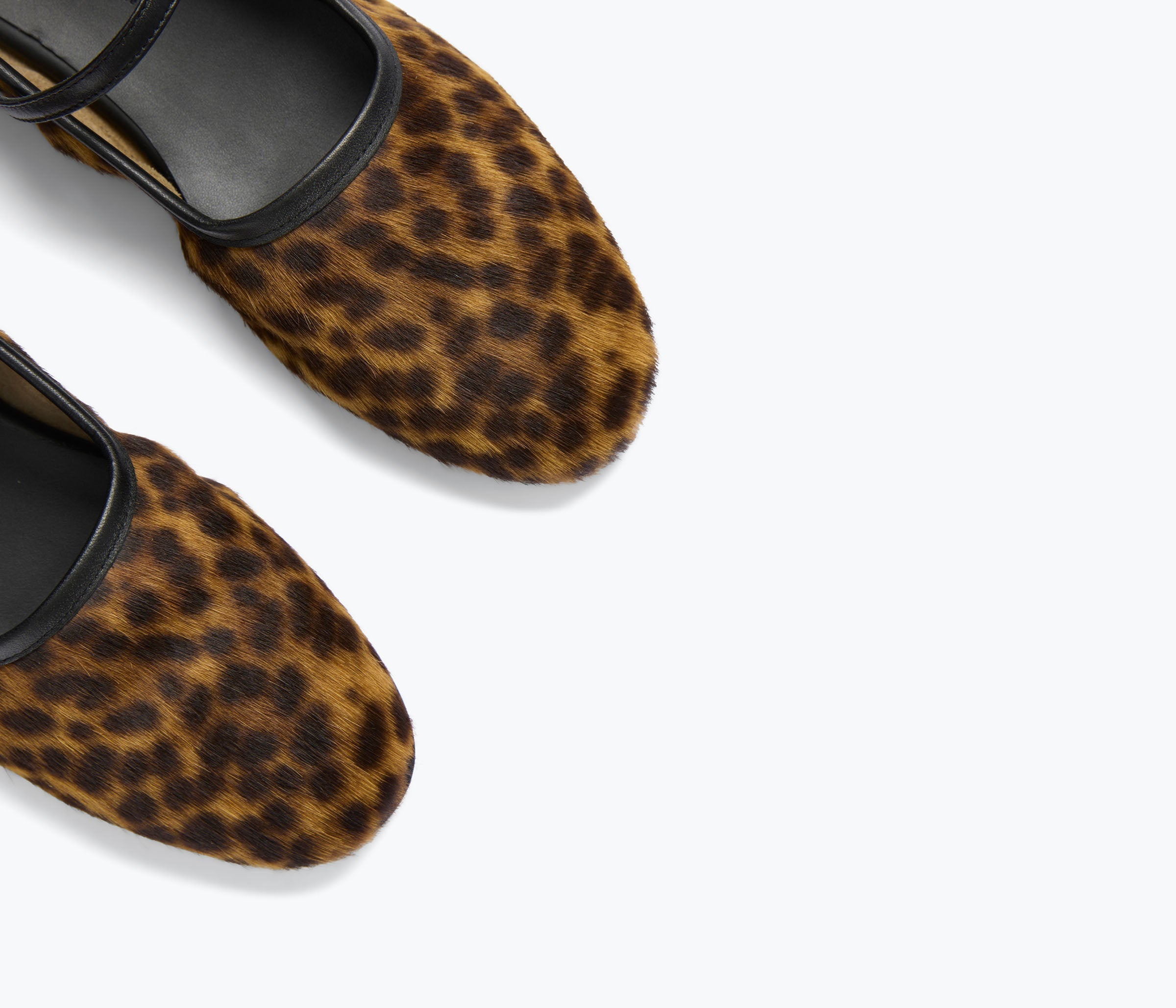 SHOES Laurel Flat in Leopard Freda Salvador