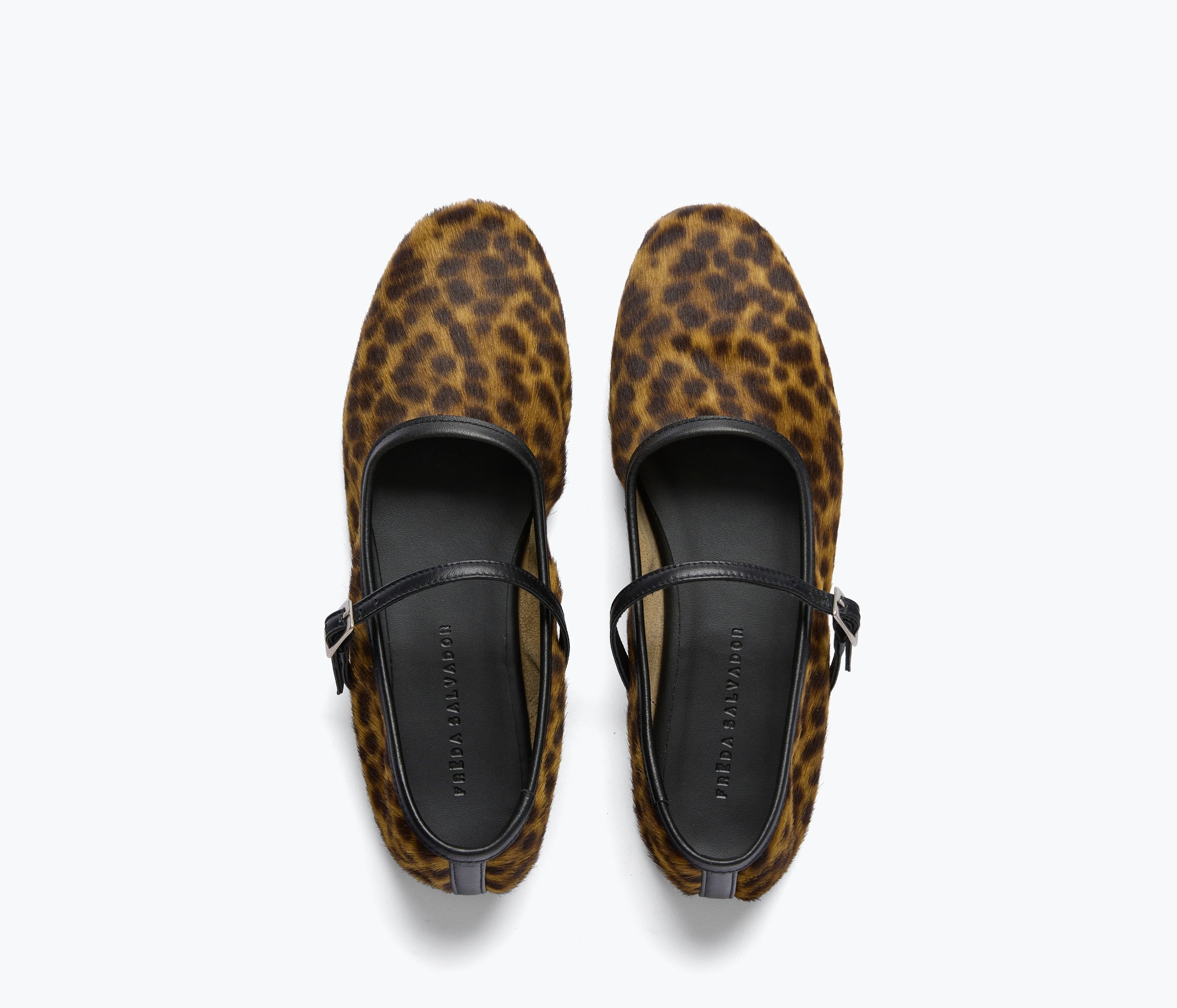 SHOES Laurel Flat in Leopard Freda Salvador