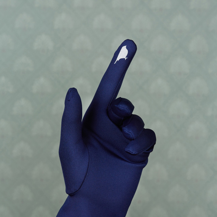 Gloves & Mittens Lady Finch Isabelle Gloves Lady Finch