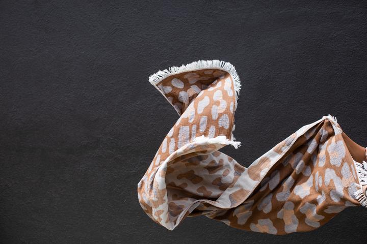 Market House No. 23 Throw in Leo House No. 23