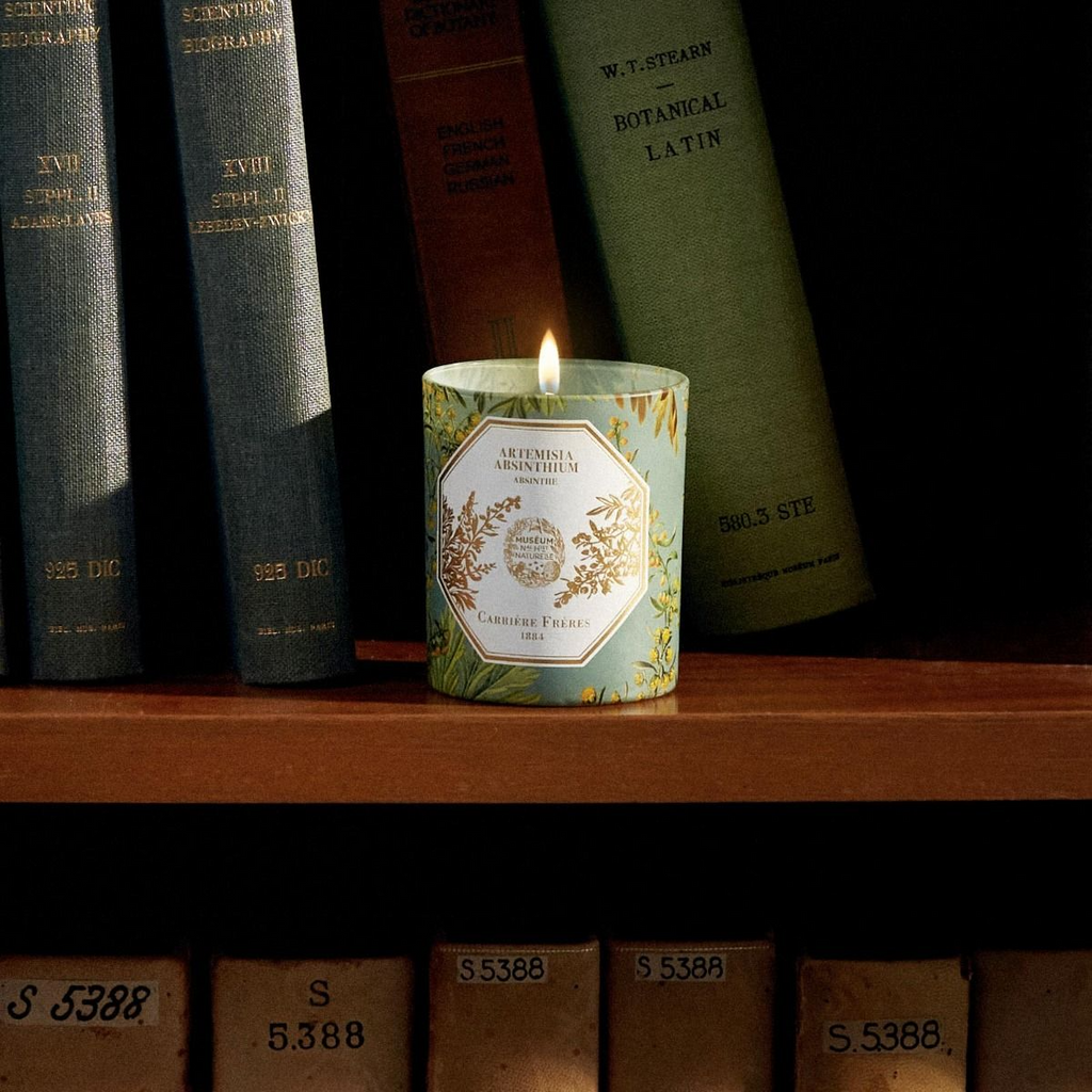 Candles Carrière Frères Museum Edition Scented Candle in Absinthe Carrière Frères