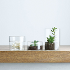 HOME ACCESSORIES Tall Glass Canister KINTO USA