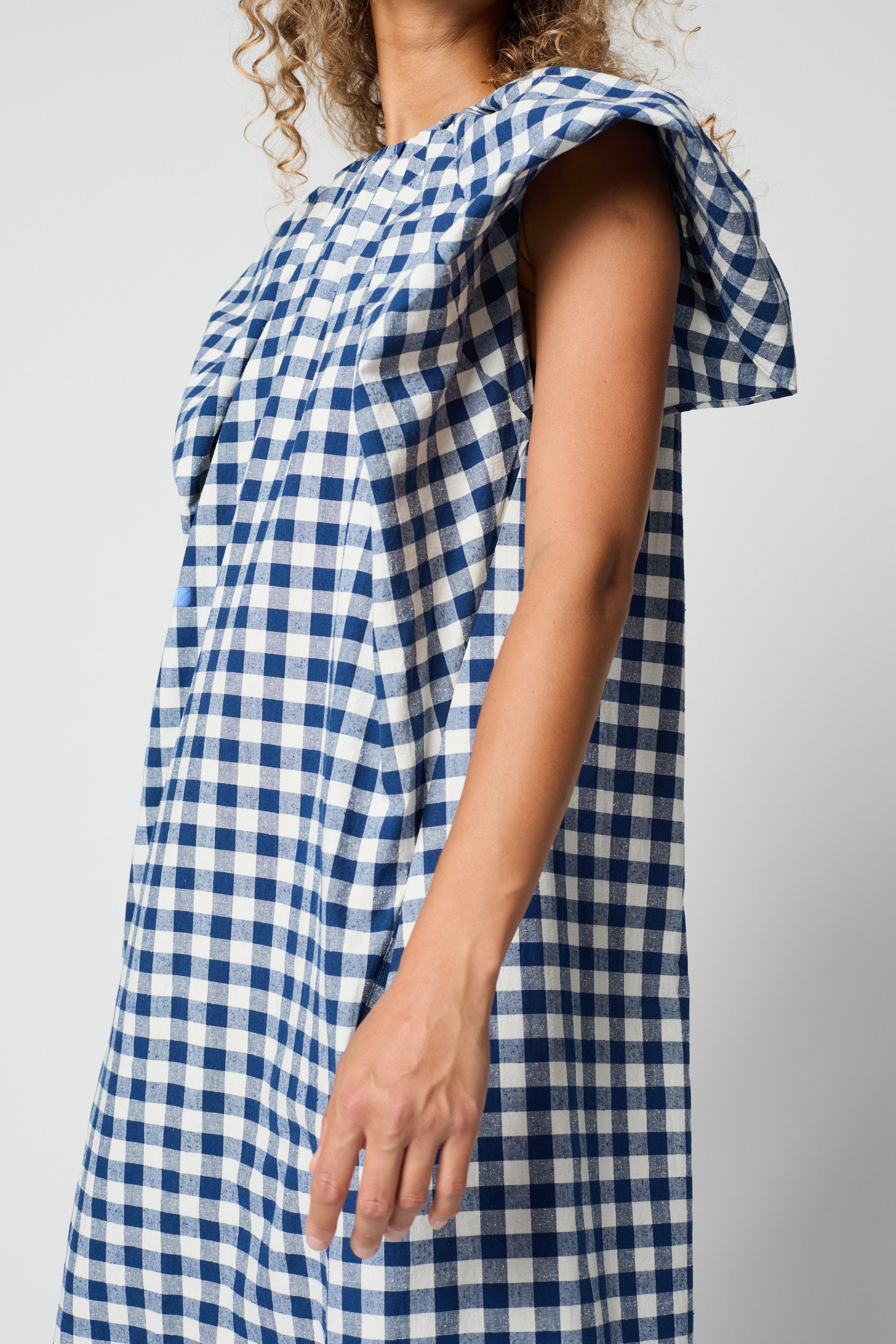DRESSES/JUMPSUITS Cacie Dress in Gingham Atelier Delphine