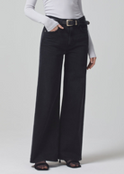 DENIM PALOMA BAGGY IN DEVINE Citizens of Humanity