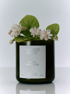 CANDLES/HOME FRAGRANCE Jasmine Damask Rose Candle Flamingo Estate