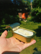 CANDLES/HOME FRAGRANCE TINNED FISH CANDLE IN CITRONELLA Tinned Candle