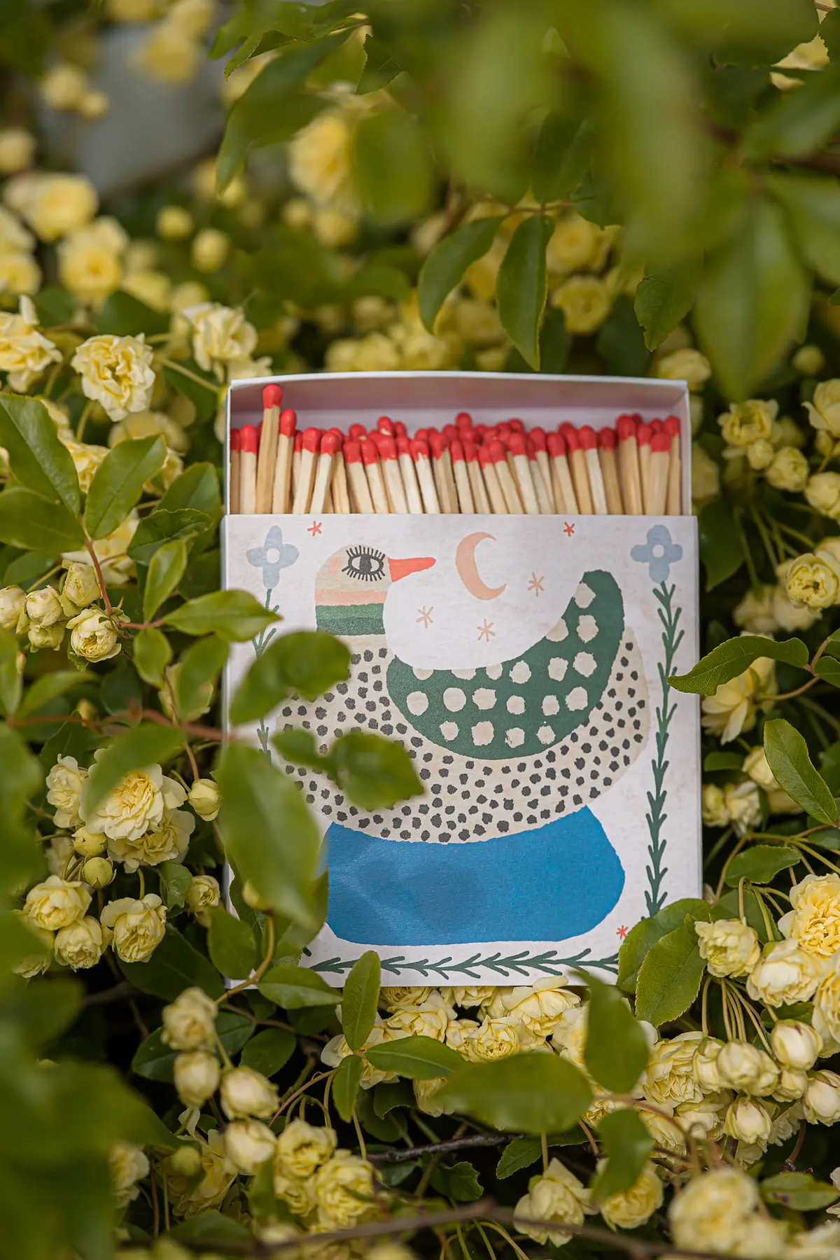 HOME DECOR Spotted Duck - Safety Matches Archivist Gallery