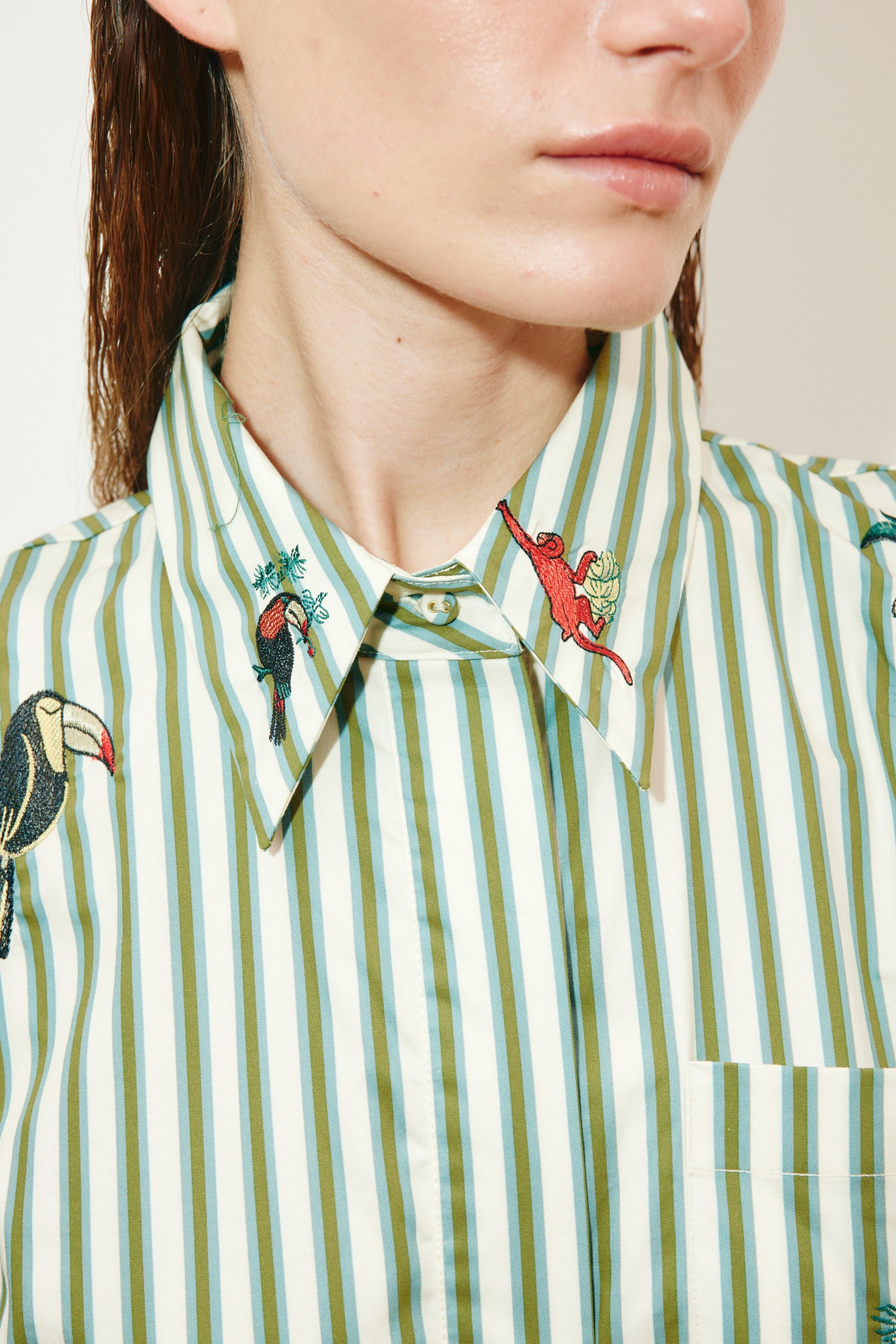DRESSES/JUMPSUITS Bisou Embroidered Shirtdress in Green Stipe Alemais