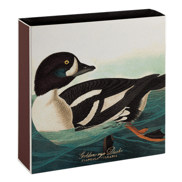 HOME ACCESSORIES The Golden-Eye Duck - Safety Matches Archivist Gallery
