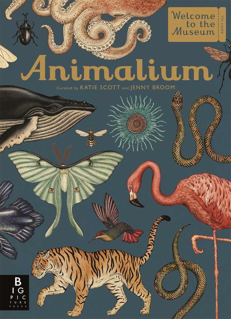 Books Animalium Random House