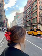 ACCESSORIES Dragon Claw Clip Solar Eclipse