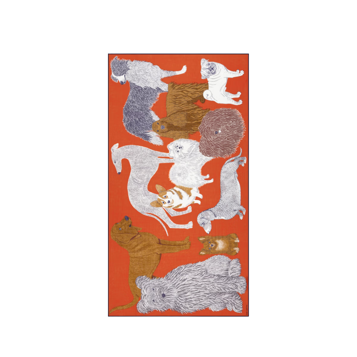 ACCESSORIES Cotton Toutou Scarf in Orange Inoui Editions