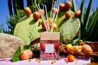 CANDLES/HOME FRAGRANCE Reed Diffuser in Cala Del Fico Acqua Dell Elba