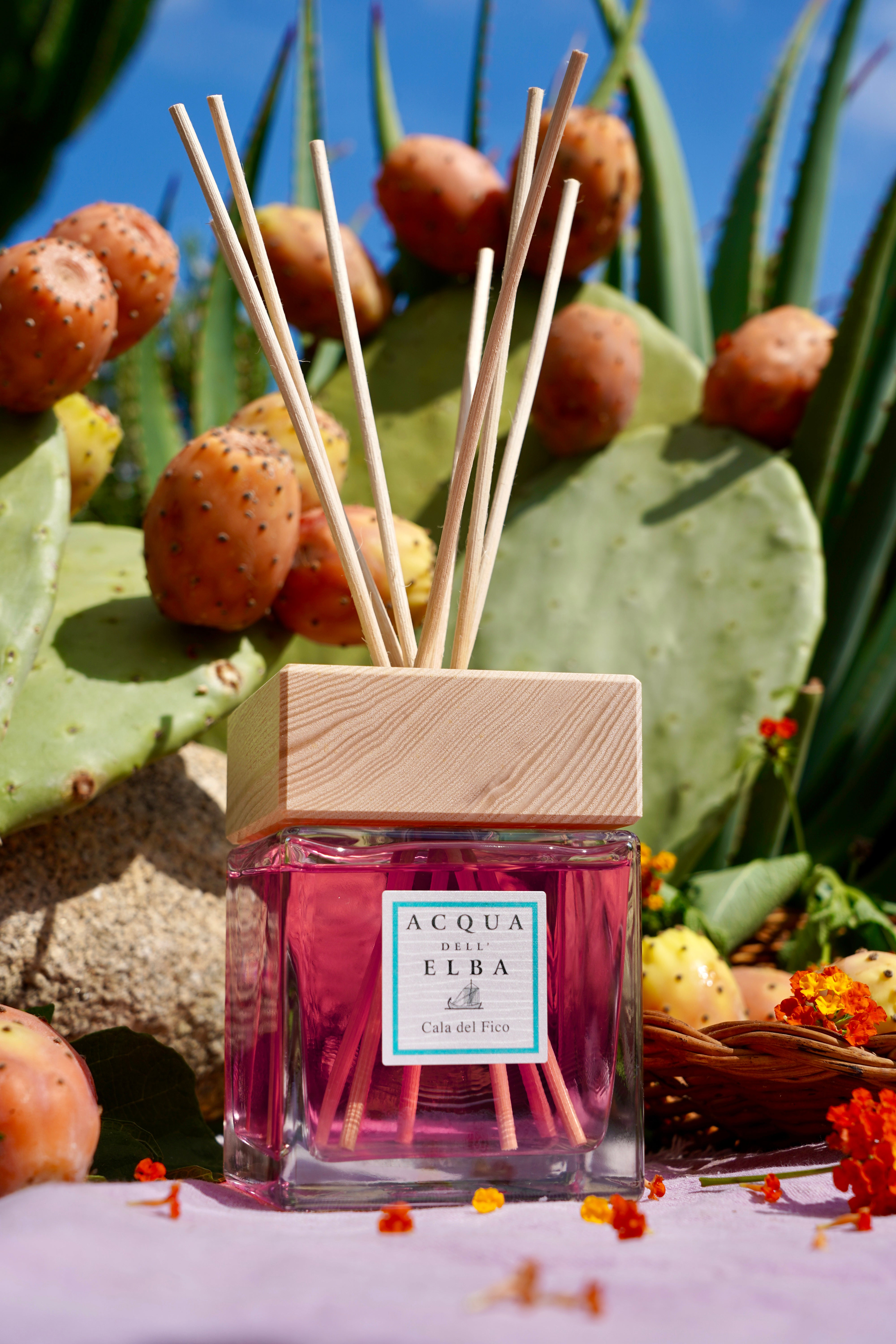 CANDLES/HOME FRAGRANCE Reed Diffuser in Cala Del Fico Acqua Dell Elba