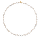 JEWELRY Pearl Knot Necklace EF Collection