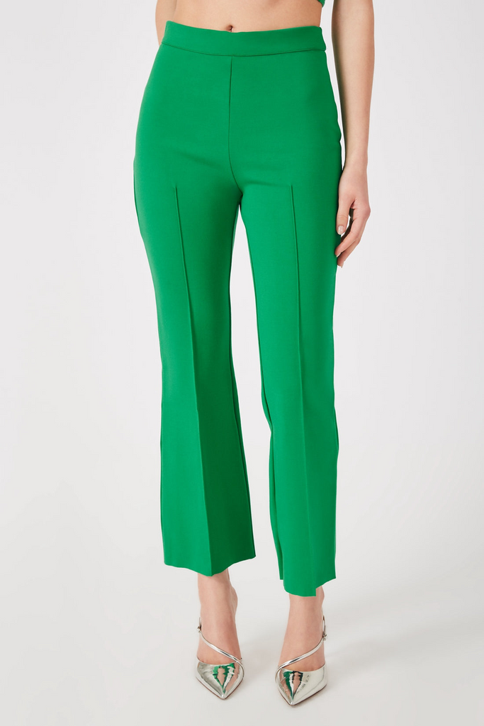 Pants Grey Ven Porterfield Pant in Kelly Green Grey Ven