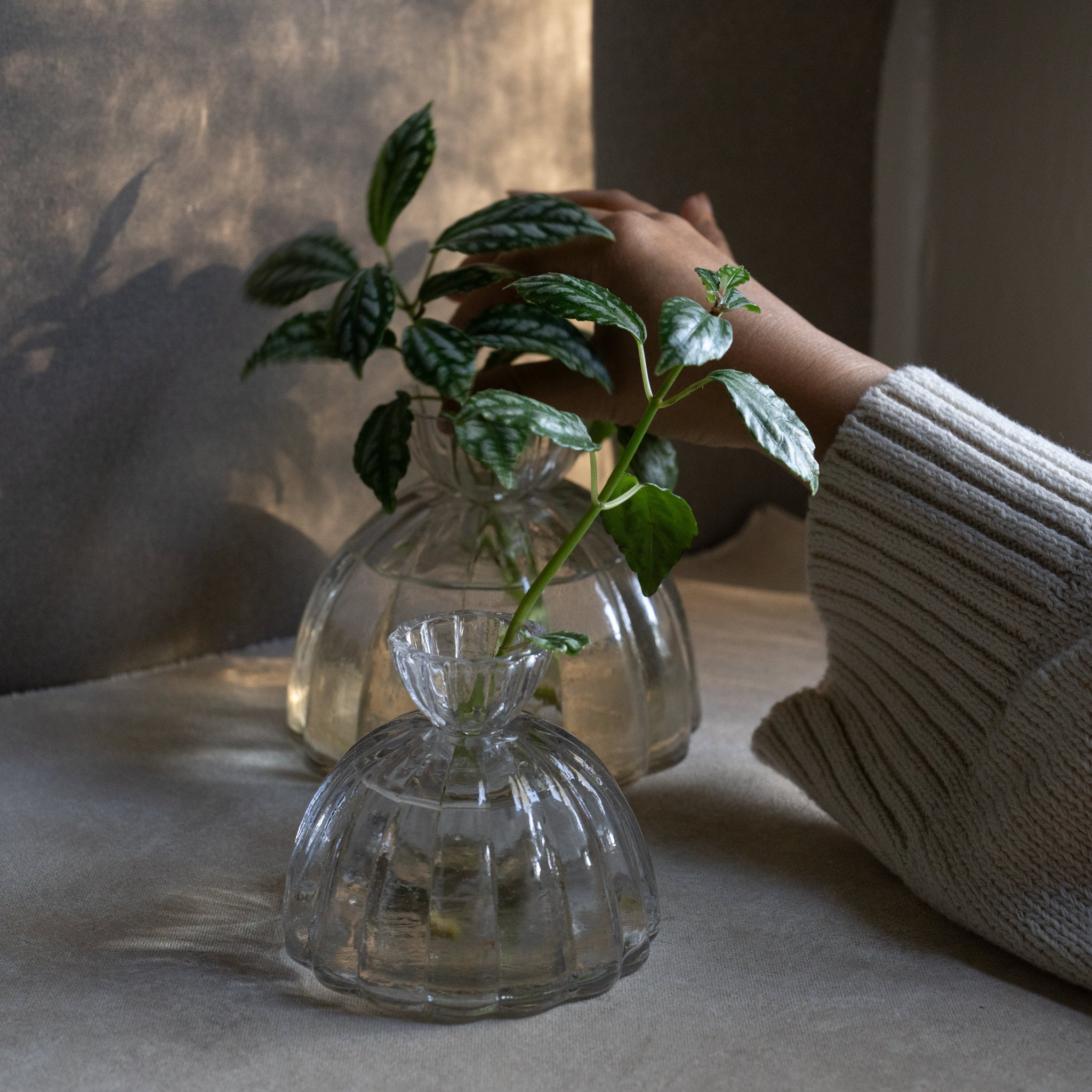 HOME ACCESSORIES Small Root Propagation Vase The Floral Society