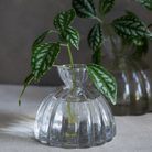 HOME ACCESSORIES Small Root Propagation Vase The Floral Society
