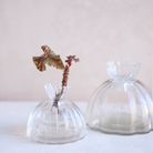 HOME ACCESSORIES Small Root Propagation Vase The Floral Society
