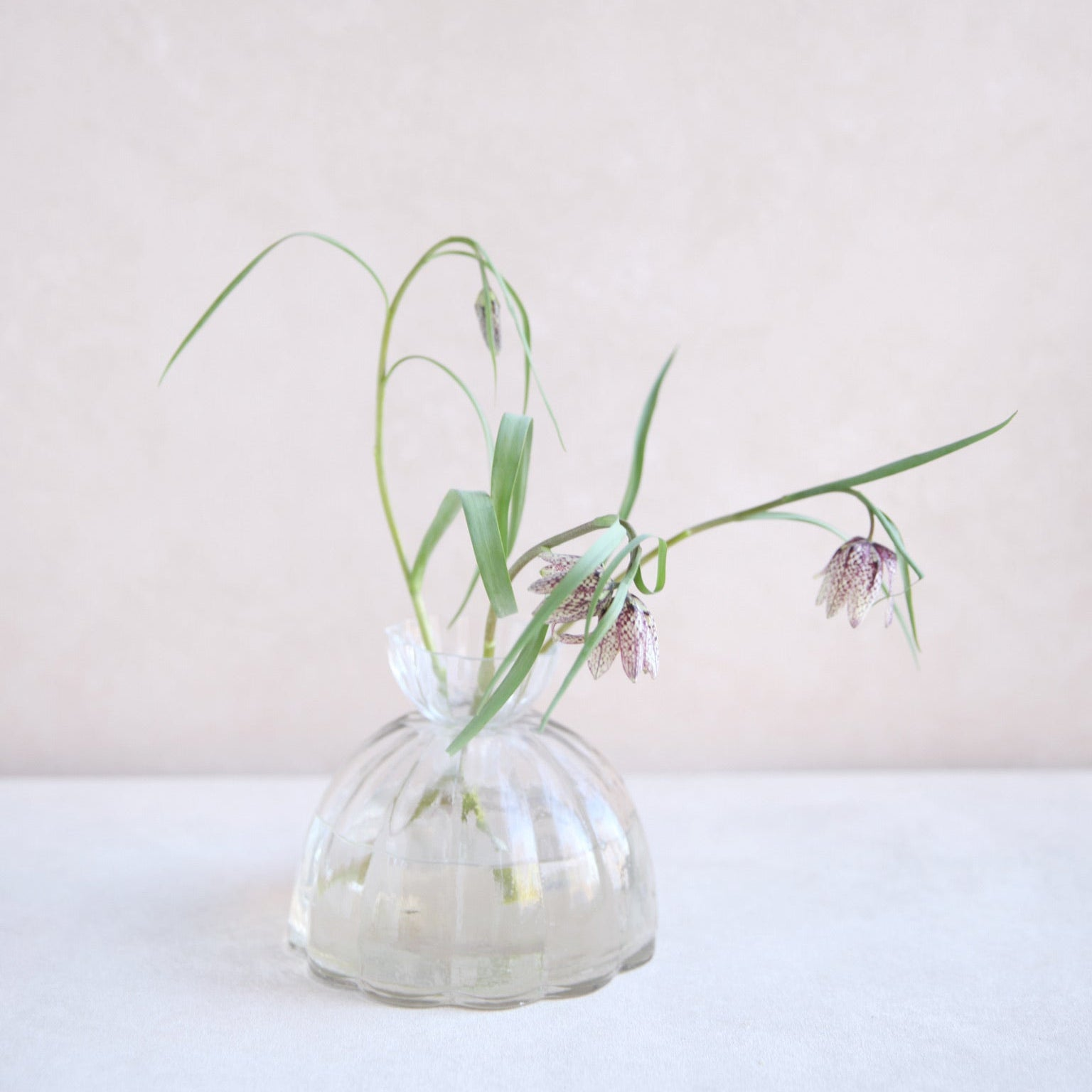 HOME ACCESSORIES Small Root Propagation Vase The Floral Society