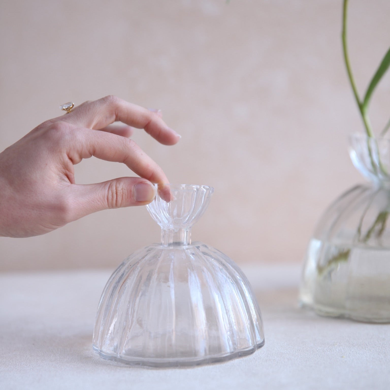 HOME ACCESSORIES Small Root Propagation Vase The Floral Society