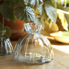 HOME ACCESSORIES Large Root Propagation Vase The Floral Society
