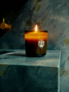 CANDLES/HOME FRAGRANCE Flamingo Estate Roma Heirloom Tomato Candle Flamingo Estate
