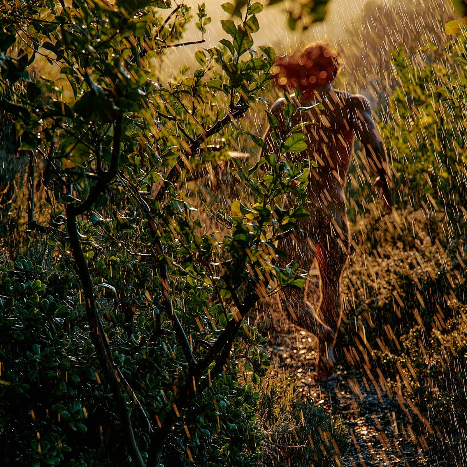 CANDLES/HOME FRAGRANCE Petrichor Candle Flamingo Estate